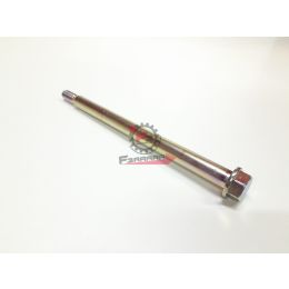 1C002468R ASSE RUOTA ANTERIORE LIBERTY IGET