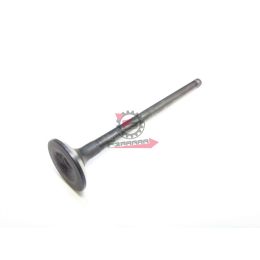 13715B1030000 VALVOLA SCARICO PORTER