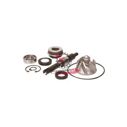 KIT REVISIONE POMPA ACQUA HONDA SH 125/150 4T 01>12