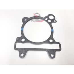 1A000728 GUARNIZIONE CARTER CIL.BEVERLY/MP3