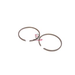 SEGMENTI 38,8 X 2,0 GR/ESTERNO (SR)