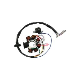 404011530 STATORE APRILIA SCARABEO 50 7 POLI