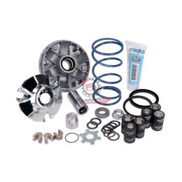 241750 VARIATORE PIAGGIO 50 EVOLUTION 2