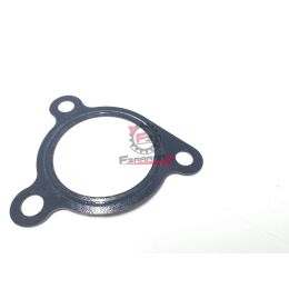 1A005520 GUARNIZIONE PORTER BENZINA MAXXI