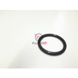 1A005578 ANELLO O-RING PORTER BENZINA MAXXI