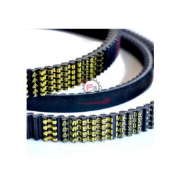 2772141 CINGHIA YAMAHA MAJESTY 400 04/06