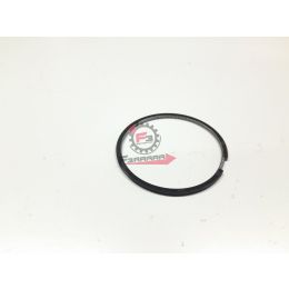 B017546 SEGMENTO RASCHIAOLIO