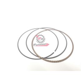 1A005495 SEGMENTO RASCHIA OLIO PORTER