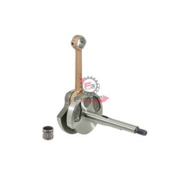 100010220 ALBERO MOTORE CIAO-SI SP.12 113708