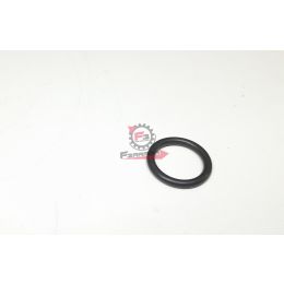 9004301252000 ANELLO O-RING PORTER BENZINA