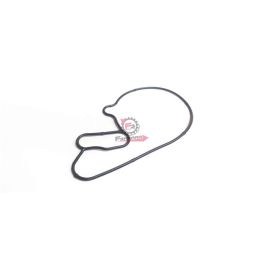 1A001276 ANELLO ORING POMPA H2O V.GTS