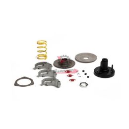 KIT FRIZIONE PIAGGIO SI CIAO BRAVO CON VARIATORE 5218223 ORIGINALE MALOSSI