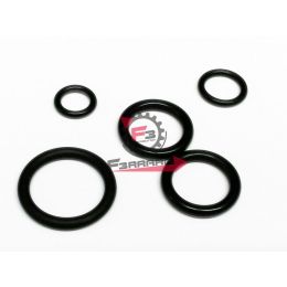 105.07010-KT KIT ANELLINI OR X SERIE PARAOLI