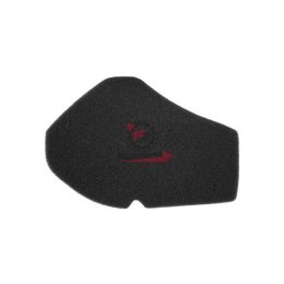 100601231 FILTRO ARIA SUZUKI BURGMAN 125 02-06