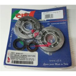 16183-KT KIT REVISIONE ALBERO MOTORE PIAGGIO