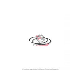 100101110 SEGMENTI MINARELLI D.40,3 AM6 EVOK