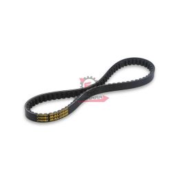 6113502 CINGHIA SUZUKI BURGMAN 125 K7 4T EU3