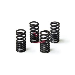 2913068 4 MOLLE PER VALVOLE MOTORE MALOSSI