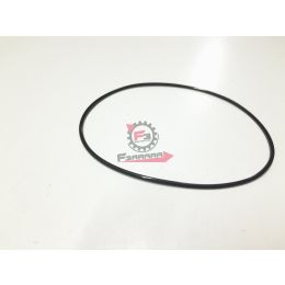 1A001054 ANELLO O-RING GTS / MEDLEY