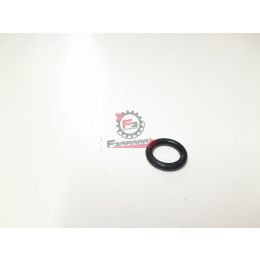 1A001055 ANELLO O-RING GTS / MEDLEY