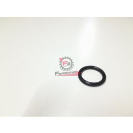 1A001056 ANELLO O-RING GTS / MEDLEY