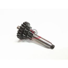 287181 INGRANAGGIO MULTIPLO