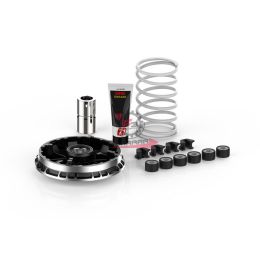 5118750 VARIATORE BMW C 400 X 19> MALOSSI