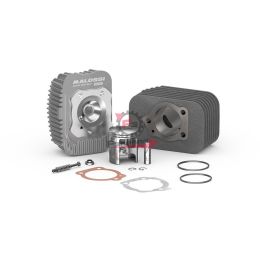 3118732 KIT CILINDRO CIAO D.43 SP.10 CVF MAL