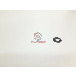 180859 PIASTRA ELASTICA PORTER