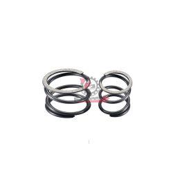 MOLLE PER KIT FRIZIONE DOPPIA MOLLA POLINI