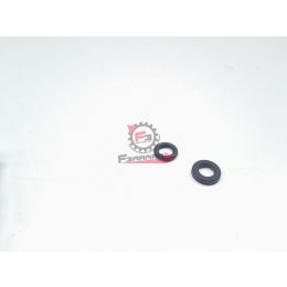 1D001198 KIT ANELLI GTS / PRIMAVERA / MEDLEY