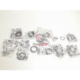 GRUPPO RALLE CALOTE STERZO X7 / X8 / X9 / Nexus / SR 6009216 ORIGINALE PIAGGIO