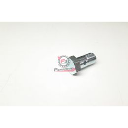 493055 VITE FORATA M14X1,5" PORTER PICK VAN