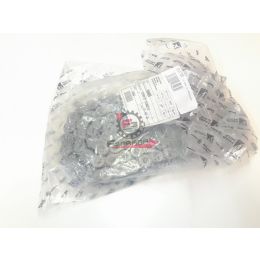 CATENA 525 112 MAGLIE Dorsoduro 750 900 Caponord 1200 originale piaggio 856805 