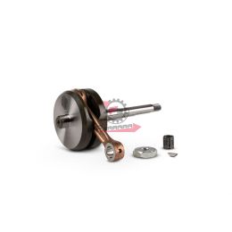 5318739 ALBERO MOTORE PIAGGIO 50 SP10