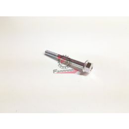 B010074 VITE TE M6X55