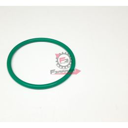 1B002841 GUARNIZIONE POMPA CARBURANTE