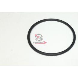 1B002953 GUARNIZIONE POMPA CARBURANTE