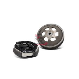 5219120 FRIZIONE E CAMPANA D.107 DELTA