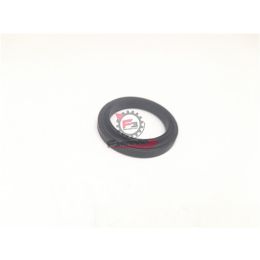 B014732 GUARNIZIONE FORO CANDELA APE