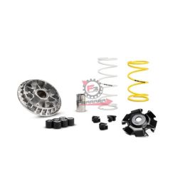 5119875 VARIATORE HONDA SH 125 ABS IE 4T 13>