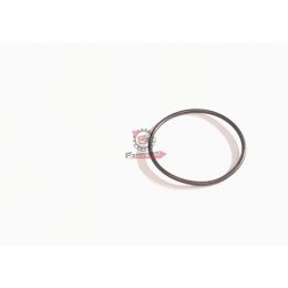 ANELLO O RING VESPA / NRG / ZIP