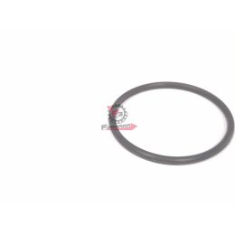 ANELLO O-RING FLY / MEDLEY 50 - 150 2014 - 2020