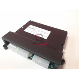 CENTRALINA DELPHINUS PLUS Porter MAXXI Multitech E4 e5 B007633 originale piaggio