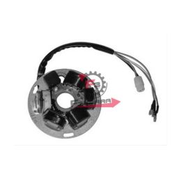 655.233871 STATORE COSA 125/150/200