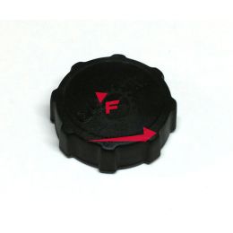 655.259832 TAPPO BENZINA LIBERTY/BEVERLY