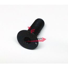 156.M4970779 VITE PER PULEGGIA FBM 10X30
