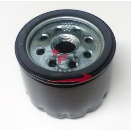 156.011476 FILTRO OLIO RUGGERINI RD-RF 175.24