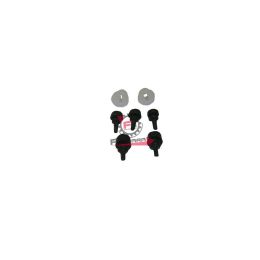 554.0062043 KIT GOMMINI+BOCCOLE SPORTELLO VESPA