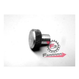 POMELLO FILTRO ARIA TM 703/MP 601